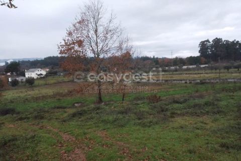 Helårsgrund i Tondela, Viseu, Tondela - € 90.000 | Ref: VS94479 - foto 6