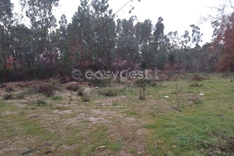 Helårsgrund i Tondela, Viseu, Tondela - € 90.000 | Ref: VS94479 - foto 7