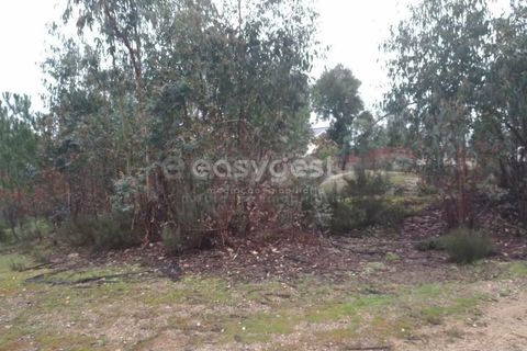 Helårsgrund i Tondela, Viseu, Tondela - € 90.000 | Ref: VS94479 - foto 8