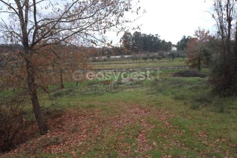 Helårsgrund i Tondela, Viseu, Tondela - € 90.000 | Ref: VS94479 - foto 9