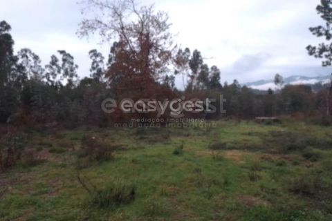 Helårsgrund i Tondela, Viseu, Tondela - € 90.000 | Ref: VS94479 - foto 10