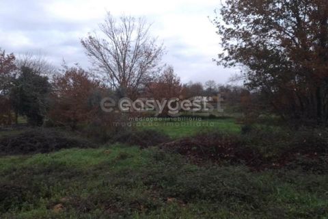 Helårsgrund i Tondela, Viseu, Tondela - € 90.000 | Ref: VS94479 - foto 11