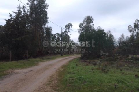 Helårsgrund i Tondela, Viseu, Tondela - € 90.000 | Ref: VS94479 - foto 12