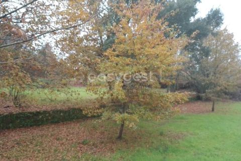 Helårsgrund i Tondela, Viseu, Tondela - € 90.000 | Ref: VS94479 - foto 13