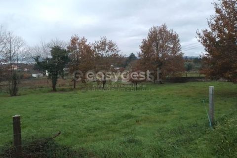 Helårsgrund i Tondela, Viseu, Tondela - € 90.000 | Ref: VS94479 - foto 14