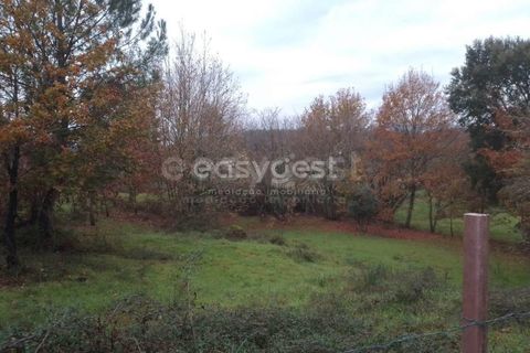 Helårsgrund i Tondela, Viseu, Tondela - € 90.000 | Ref: VS94479 - foto 15