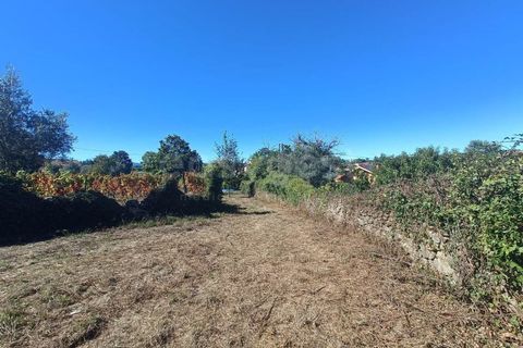 Villa i Tondela, Viseu, Tondela - € 48.000 | Ref: VS96931 - foto 3
