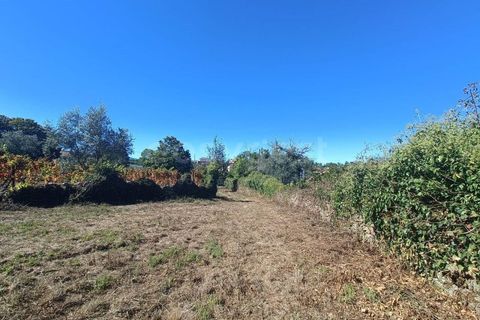 Villa i Tondela, Viseu, Tondela - € 48.000 | Ref: VS96931 - foto 16