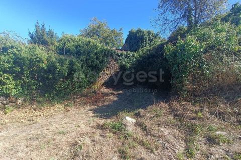 Villa i Tondela, Viseu, Tondela - € 48.000 | Ref: VS96931 - foto 18