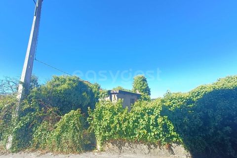 Villa i Tondela, Viseu, Tondela - € 48.000 | Ref: VS96931 - foto 19
