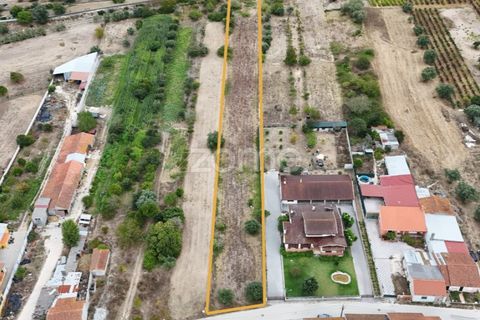 Helårsgrund i Cantanhede, Coimbra, Cantanhede - € 47.500 | Ref: ZMPT580792 - foto 4