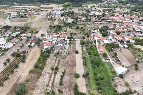 Helårsgrund i Cantanhede, Coimbra, Cantanhede - € 47.500 | Ref: ZMPT580792 - foto 8