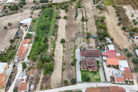 Helårsgrund i Cantanhede, Coimbra, Cantanhede - € 47.500 | Ref: ZMPT580792 - foto 12