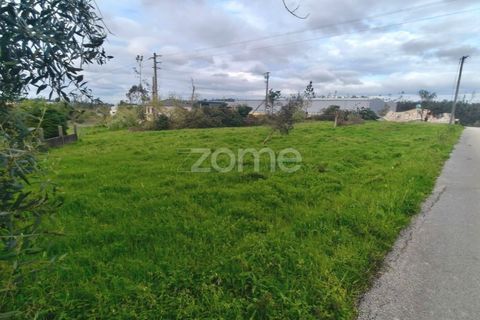 Helårsgrund i Leiria, Leiria, Leiria - € 80.000 | Ref: ZMPT586932 - foto 5
