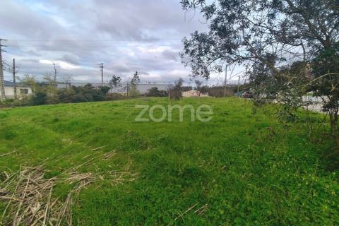 Helårsgrund i Leiria, Leiria, Leiria - € 80.000 | Ref: ZMPT586932 - foto 6