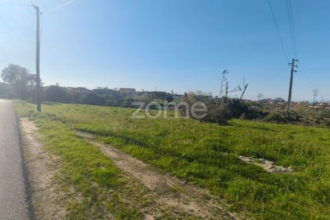Helårsgrund i Leiria, Leiria, Leiria - € 80.000 | Ref: ZMPT586932 - foto 10