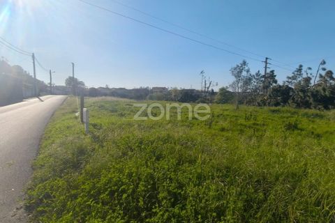Helårsgrund i Leiria, Leiria, Leiria - € 80.000 | Ref: ZMPT586932 - foto 11
