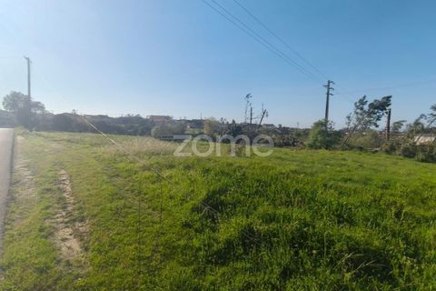 Helårsgrund i Leiria, Leiria, Leiria - € 80.000 | Ref: ZMPT586932 - foto 12