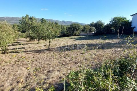 Helårsgrund i Juncal, Leiria, Juncal - € 106.200 | Ref: ZMPT552105 - foto 2