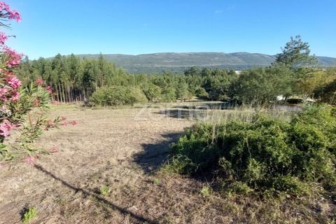 Helårsgrund i Juncal, Leiria, Juncal - € 106.200 | Ref: ZMPT552105 - foto 4