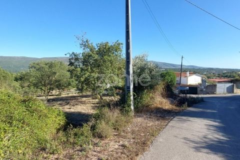 Helårsgrund i Juncal, Leiria, Juncal - € 106.200 | Ref: ZMPT552105 - foto 5