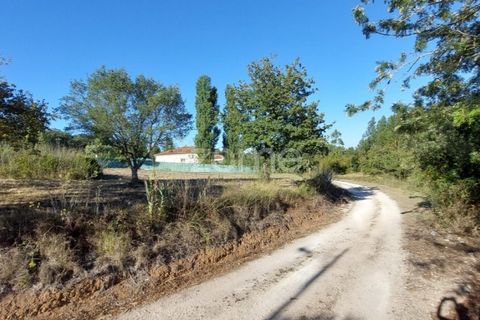 Helårsgrund i Juncal, Leiria, Juncal - € 106.200 | Ref: ZMPT552105 - foto 7