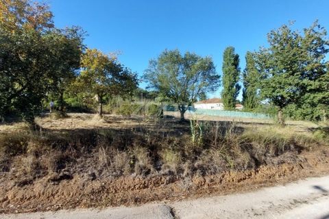 Helårsgrund i Juncal, Leiria, Juncal - € 106.200 | Ref: ZMPT552105 - foto 8