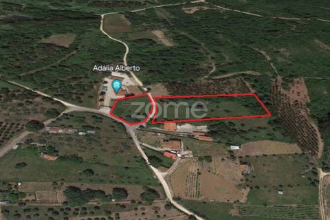 Helårsgrund i Juncal, Leiria, Juncal - € 106.200 | Ref: ZMPT552105 - foto 9