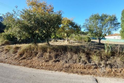 Helårsgrund i Juncal, Leiria, Juncal - € 106.200 | Ref: ZMPT552105 - foto 10