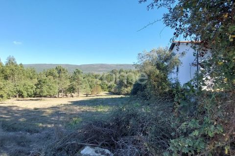 Helårsgrund i Juncal, Leiria, Juncal - € 106.200 | Ref: ZMPT552105 - foto 11