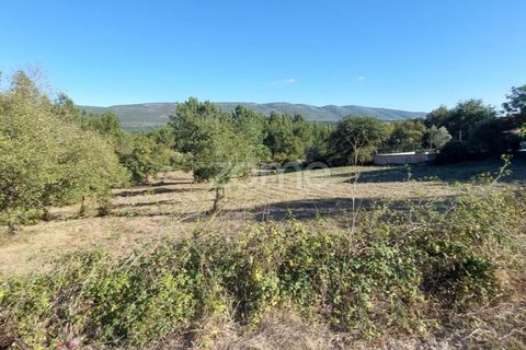 Helårsgrund i Juncal, Leiria, Juncal - € 106.200 | Ref: ZMPT552105 - foto 12