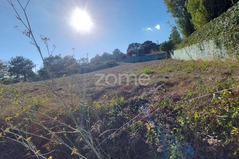 Helårsgrund i Juncal, Leiria, Juncal - € 106.200 | Ref: ZMPT552105 - foto 13