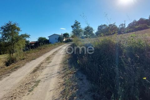 Helårsgrund i Juncal, Leiria, Juncal - € 106.200 | Ref: ZMPT552105 - foto 14