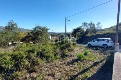 Helårsgrund i Juncal, Leiria, Juncal - € 106.200 | Ref: ZMPT552105 - foto 15