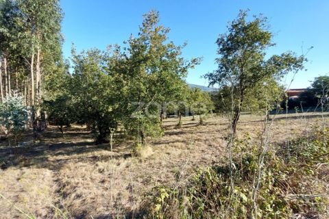 Helårsgrund i Juncal, Leiria, Juncal - € 106.200 | Ref: ZMPT552105 - foto 16