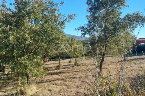 Helårsgrund i Juncal, Leiria, Juncal - € 106.200 | Ref: ZMPT552105 - foto 17
