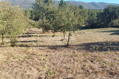 Helårsgrund i Juncal, Leiria, Juncal - € 106.200 | Ref: ZMPT552105 - foto 18