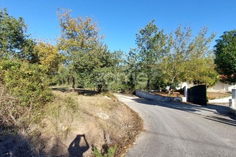 Helårsgrund i Juncal, Leiria, Juncal - € 106.200 | Ref: ZMPT552105 - foto 19