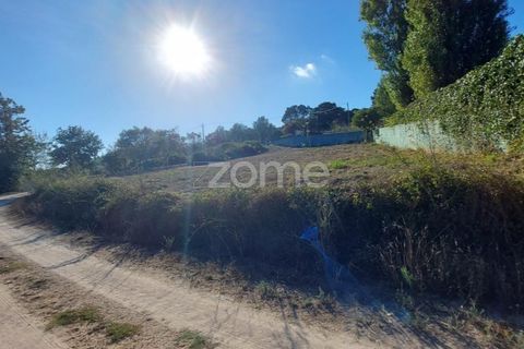 Helårsgrund i Juncal, Leiria, Juncal - € 106.200 | Ref: ZMPT552105 - foto 20