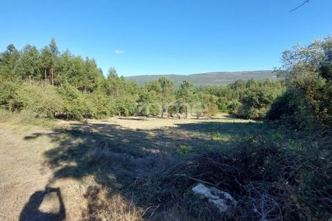 Helårsgrund i Juncal, Leiria, Juncal - € 106.200 | Ref: ZMPT552105 - foto 21