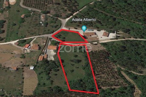 Helårsgrund i Juncal, Leiria, Juncal - € 106.200 | Ref: ZMPT552105 - foto 22