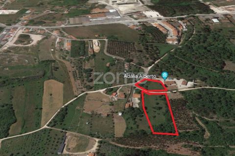 Helårsgrund i Juncal, Leiria, Juncal - € 106.200 | Ref: ZMPT552105 - foto 23