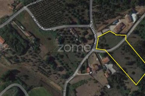 Helårsgrund i Juncal, Leiria, Juncal - € 106.200 | Ref: ZMPT552105 - foto 25