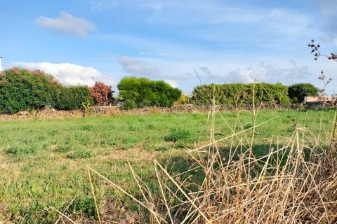 Grond in Lajes, Terceira, Lajes - € 49.000 | Ref: AZ97910DA - foto 7