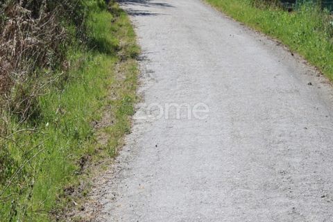 Terra a Moimenta da Beira, Viseu, Moimenta da Beira - € 25.000 | Ref: ZMPT577123 - foto 14