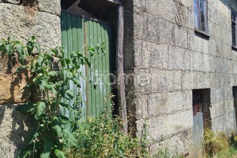 Villa i Viseu, Viseu, Viseu - € 58.000 | Ref: ZMPT578747 - foto 4