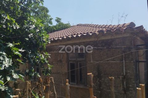 Villa i Viseu, Viseu, Viseu - € 58.000 | Ref: ZMPT578747 - foto 5