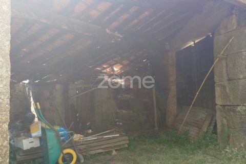 Villa i Viseu, Viseu, Viseu - € 58.000 | Ref: ZMPT578747 - foto 8