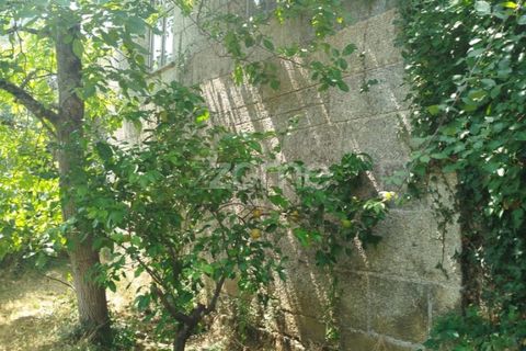 Villa i Viseu, Viseu, Viseu - € 58.000 | Ref: ZMPT578747 - foto 12