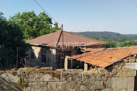 Villa i Viseu, Viseu, Viseu - € 58.000 | Ref: ZMPT578747 - foto 14